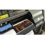 220gsm Inkjet Polyester Canvas Rolls Aqueous Waterproof  Matte Anti Cracking