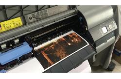 China 220gsm Inkjet Polyester Canvas Rolls Aqueous Waterproof  Matte Anti Cracking supplier