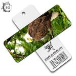 Birds Design 3D Lenticular Bookmark With Tassels Environmental 15.6X5.3cm for sale