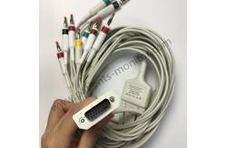 China PHiliph Page Writer TC20 Long 10 Lead Patient Cable IEC REF 989803175911 supplier