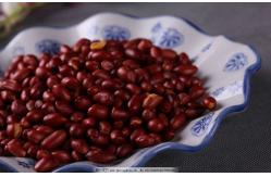China Peanut Frying Machine Automatic French Fry Machine Auto Fry Machine supplier