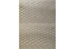 China Steel Brick Reinforcement Mesh External Wall Construction Galvanised Reinforcing Mesh supplier