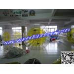 Popular Inflatable Roller Ball With Water Games , Inflatable Fun Roller