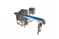 China Small Chocolate Enrober Chocolate Making Machine supplier