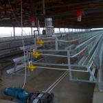 Poultry Equipment Chicken Broiler Cage A Type For Nigeria Farm 5 Tiers for sale