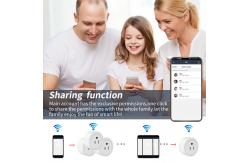 China US Plug Smart Homekit Socket 16A 2 Pin DIY Wifi Enabled Plug Socket supplier