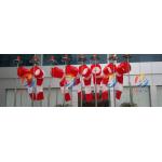 ICAO Heliport Red Outside Flood Lights Wind Direction Indicator Customized Windsock