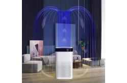 China UVC True HEAP Ionic Air Purifier Near by me supplier