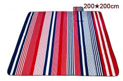 China 200*200CM Waterproof Picnic Mat High Strength With Excellent Tear Resistance supplier