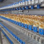                  Croissant/Bread Production Line Spiral Cooling Tower              for sale