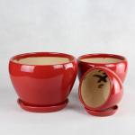 Affordable And Durable Ceramic Pots For Your Plants Custom Designs Available