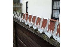 China Anping TLWY Razor Sharp Fence Security Spikes Thickness 2mm supplier