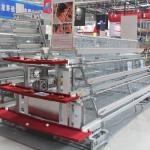 5 Tiers Battery Layer Chicken Cage 20000 Birds Layer Poultry Equipment for sale