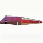 Prefab Steel Structure Cow Shed Earthquake Resistant For Cattle Management for sale