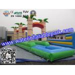 PVC Inflatable Single Lane Slip , Inflatable Water Slide Single Slip for sale