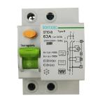 ELCB 2P 63Amp 10KA 400V 30mA Type B Circuit Breaker for sale