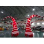 Inflatable Seaweed LED Lighting Decoration for Party Events