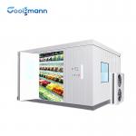 Commercial Cold Room Freezer Container For Frozen Vegetable And Fish Seafood for sale