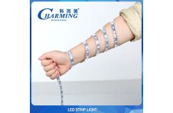 China Multiscene SMD5050 RGB Light Strip , SPI Control Club LED Light supplier