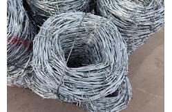 China Silver 2.5mm 14x14 Barbed Wire Electo Galvanized Barbed Wire supplier