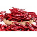 Tien Tsin Dried Red Chilli Peppers For Szechuan Style Cooking Kung Pao Ingredient for sale