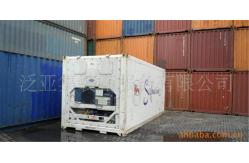 China Metal Used Reefer Container / 20 Foot Refrigerated Container supplier