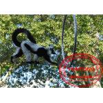 Knotted Animal Enclosure Netting , Zoo Aviary Netting Corrosion Resistant