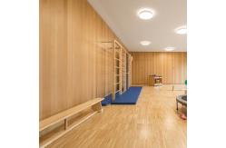 China Well Durability Micro Perforated Acoustic Panels Easy Installation supplier