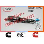 Diesel Engine Part Excavator Fuel Injector 432678 495437 4077076 4902817