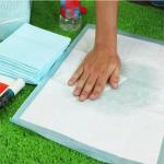 Disposable Pet Pee Pad