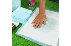 China Disposable Pet Pee Pad supplier