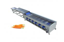 China 1100mm Automatic Food Processing Machines 3 t/h For Cucumber Carrot supplier