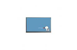 China N116HSE-EA2 11.6 inch LCD Module for Pad Tablet supplier