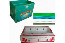 China 2400x1200 2440x1220 Fruit Vegetable Box Plastic Corrugated supplier