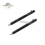 Common Rail Fuel Injector EJBR04501D A6640170121 for Delphi Engine
