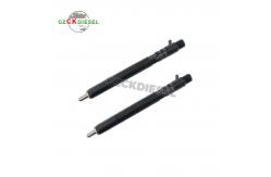 China Common Rail Fuel Injector EJBR04501D A6640170121 for Delphi Engine supplier