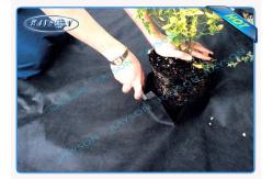 China Degradable Friendly Heavy Duty Weed Control Fabric Roll Black Agriculture Non Woven Cover supplier