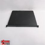 3636R 7400123-310 Triconex Digital Relay Output Module