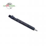 Diesel Fuel Injector EJBR04001D 166009384R for Delphi Engine