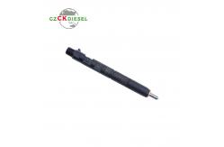 China Diesel Fuel Injector EJBR04001D 166009384R for Delphi Engine supplier