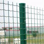 Farm Green Color PVC Coated 50x50mm Mesh Opening Euro Holland Welded Wire Mesh Fence for Chile for sale