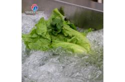 China 2000KG/H Fruit And Vegetable Washing Machine Bubble Washing Equipment supplier