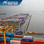 Door To Door Global Logistics Service , China Custom Clearance Sea Freight Agent for sale