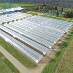 Hot Sale Poultry Farming Equipment Greenhouse Low cost agriculture tunnel green house for vegetable for sale