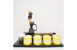 China WLkata 6 Axis Mini industrial Robot Artificial Intelligence For education supplier