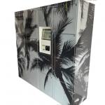 Self Service Laundry Room Metal Locker For Washed Clothes for sale