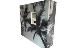 China Self Service Laundry Room Metal Locker For Washed Clothes supplier