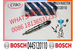 China Bosch Injector 0445120110 Common Rail Injector Assembly 0445120110 supplier