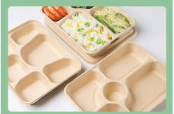 China One Time Use Dinner Plate Biodegradable Food Containers Compostable supplier