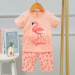 Flamingo Korean Air Conditioned Suits Code Number 55-110 With Impact Colour for sale